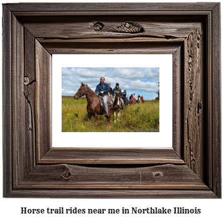 horse trail rides near me in Northlake, Illinois